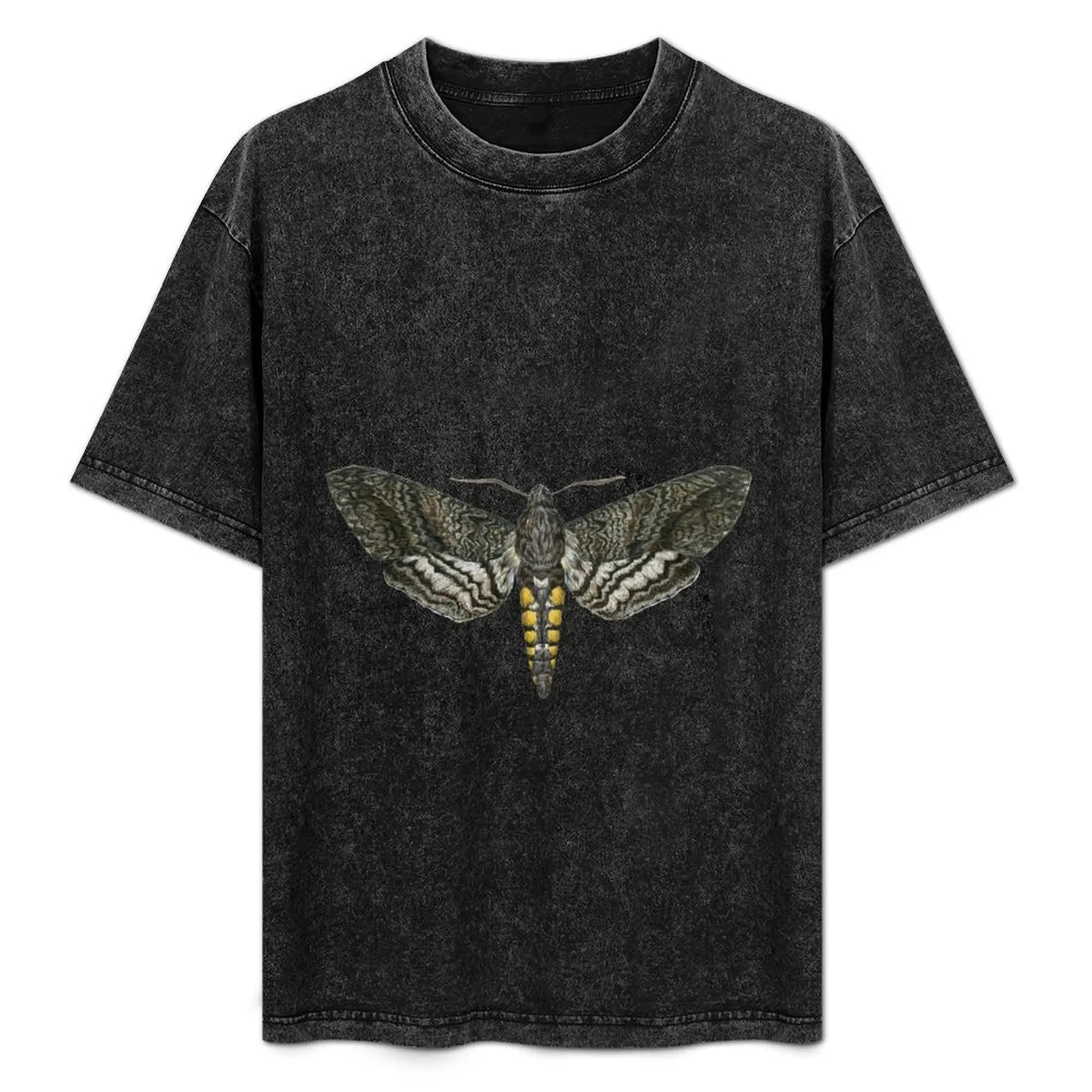 Carolina sphinx moth: butterfly moth drawing, night butterfly, butterfly, insect T-Shirt customizeds men clothing