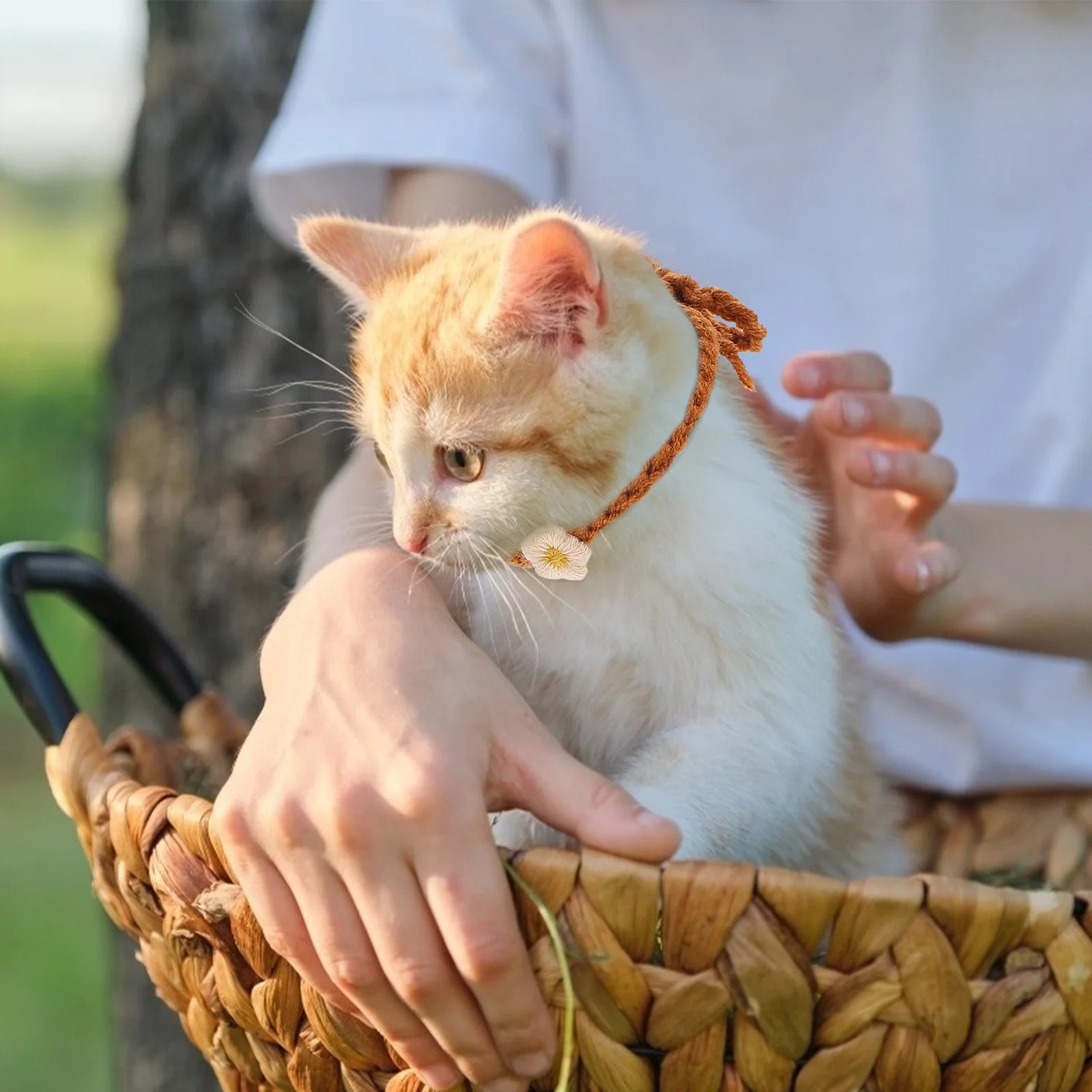 

10Pcs Pet Whelping Collars Puppy Kitten Woolen Yarn Collar Identification Chic Small Flower Design Whelping Collar