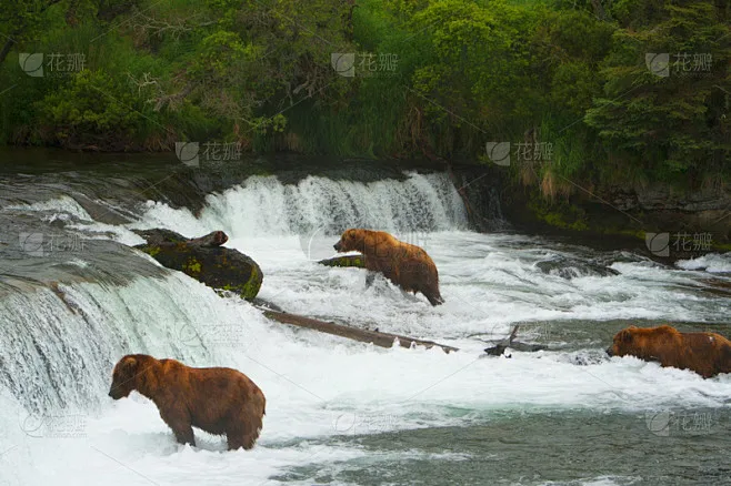 

CNC Aluminum Alloy Car Throttle Trigger and Brake Rod for Noble NB4, NB4+ and NB4 PRO Remote Controllers