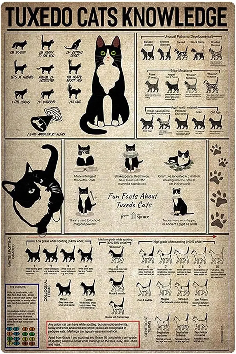 Tuxedo Cats Knowledge Retro Metal Posters Tuxedo Cats Overview Infographics Tin Signs Pet Store Cattery Educational Plaques H