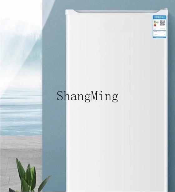 ZYY piccolo congelatore domestico piccolo frigorifero congelatore verticale congelatore completo