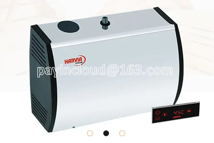 Steam Engine Stainless Steel Sauna Steam Generator Household Commercial Sweat Steam Boiler Equipment