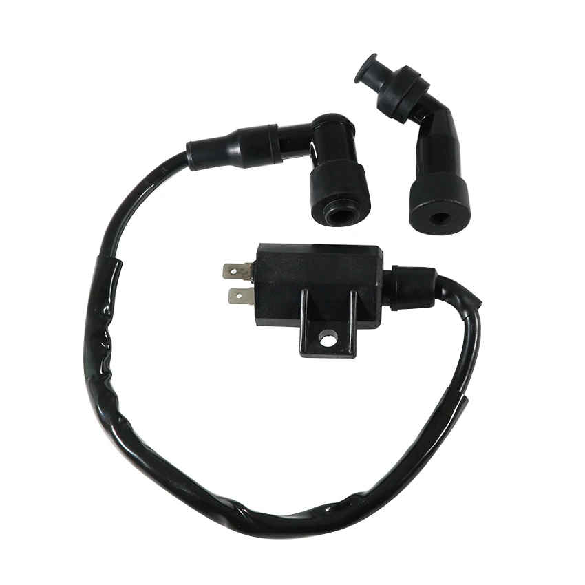 Motorrad Zubehör Starten Motor Zündspule Für Suzuki LT-F250 Ozark 250 2002-2014 LT-Z250 QuadSport 250 2004-2010 teile – Detail 1