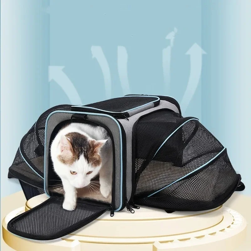 

Airline Approved Expandable Cat Dog Carrier Soft-Sided Pet travel Carrier Bag with Removable Fleece Pad and Pockets