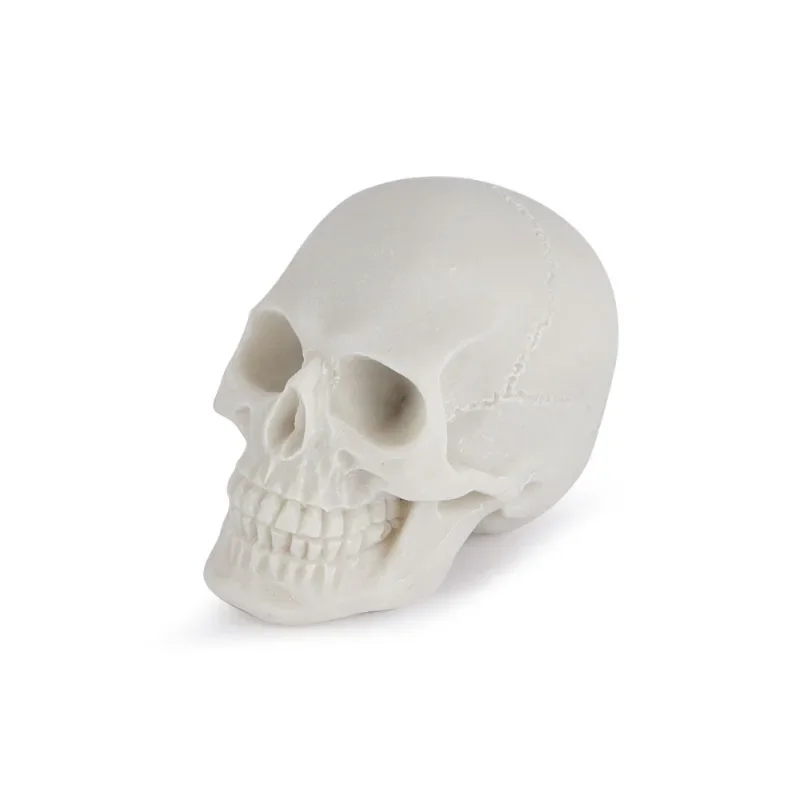 Realistic Resin skull Replica Teaching Skeleton Model Aquarium Halloween Props Horrible Supplies Home Decora