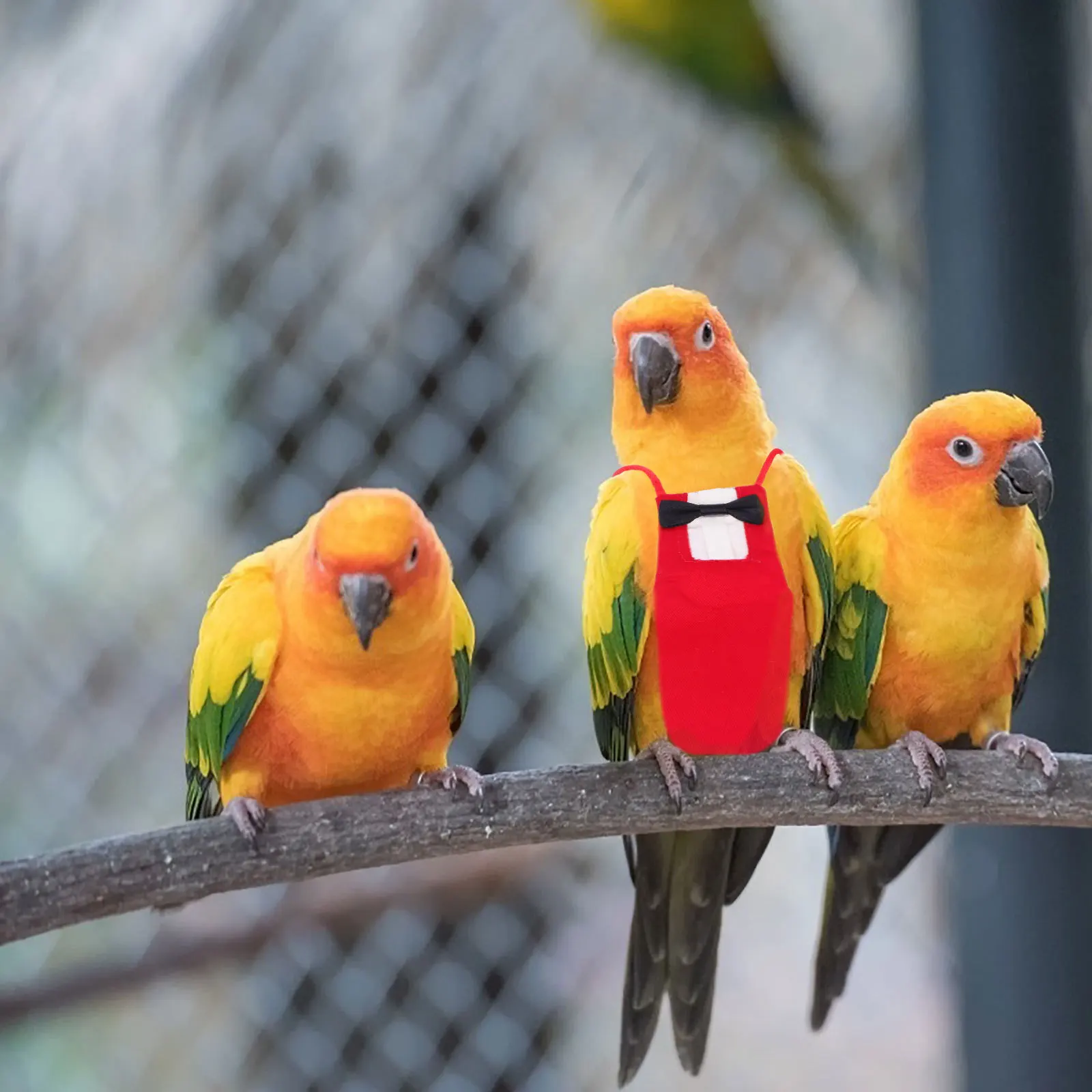 

1pc Bird Diaper Breathable Cotton Creative Design For Small Birds Parrot Pet Supply Flight Suit Apparel Diaper Clothing