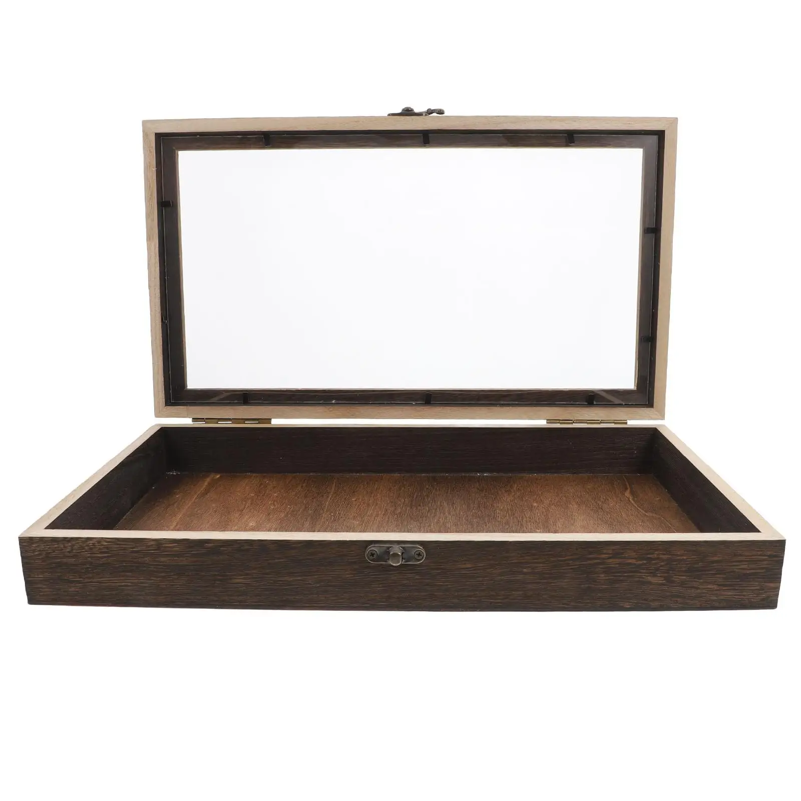 

Insect Display Box Butterfly Rock Collection Crystal Storage Case Cases for Collectibles Wooden Jewelry