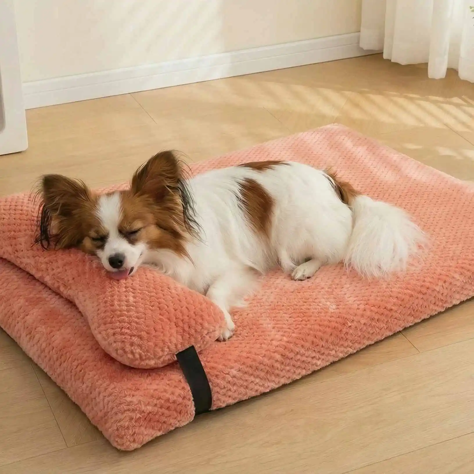 

All Season Use Flat Sponge Dog Bed with Pillow Cat Accessories Supplies pet Furniture and Sofa Detachable & Washable Dog Bed Mat