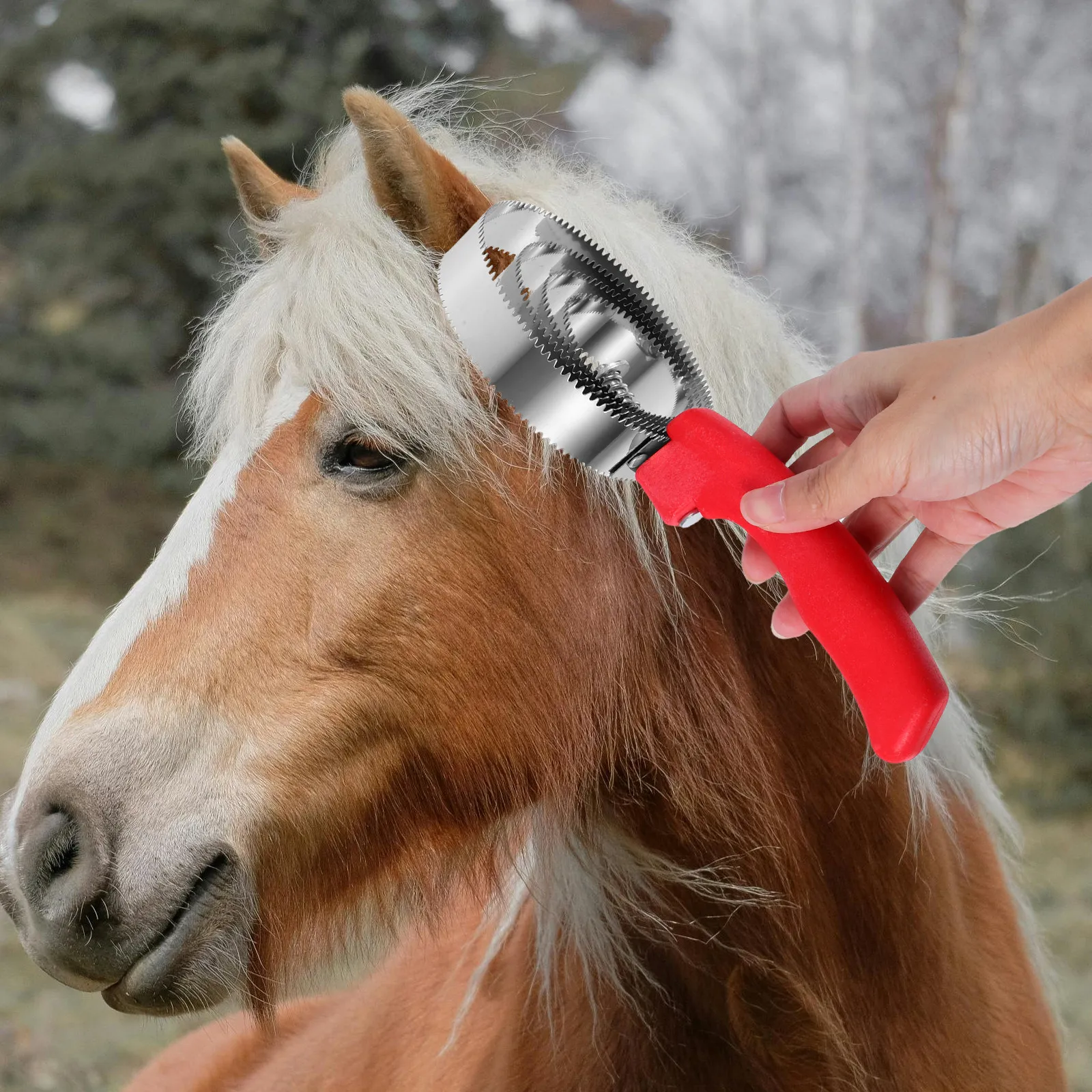 

2Pcs Stainless Steel Curry Comb Double Sided Comfortable Grip Horse Grooming Brush Reversible Metal Grooming Tool for Cow Dog