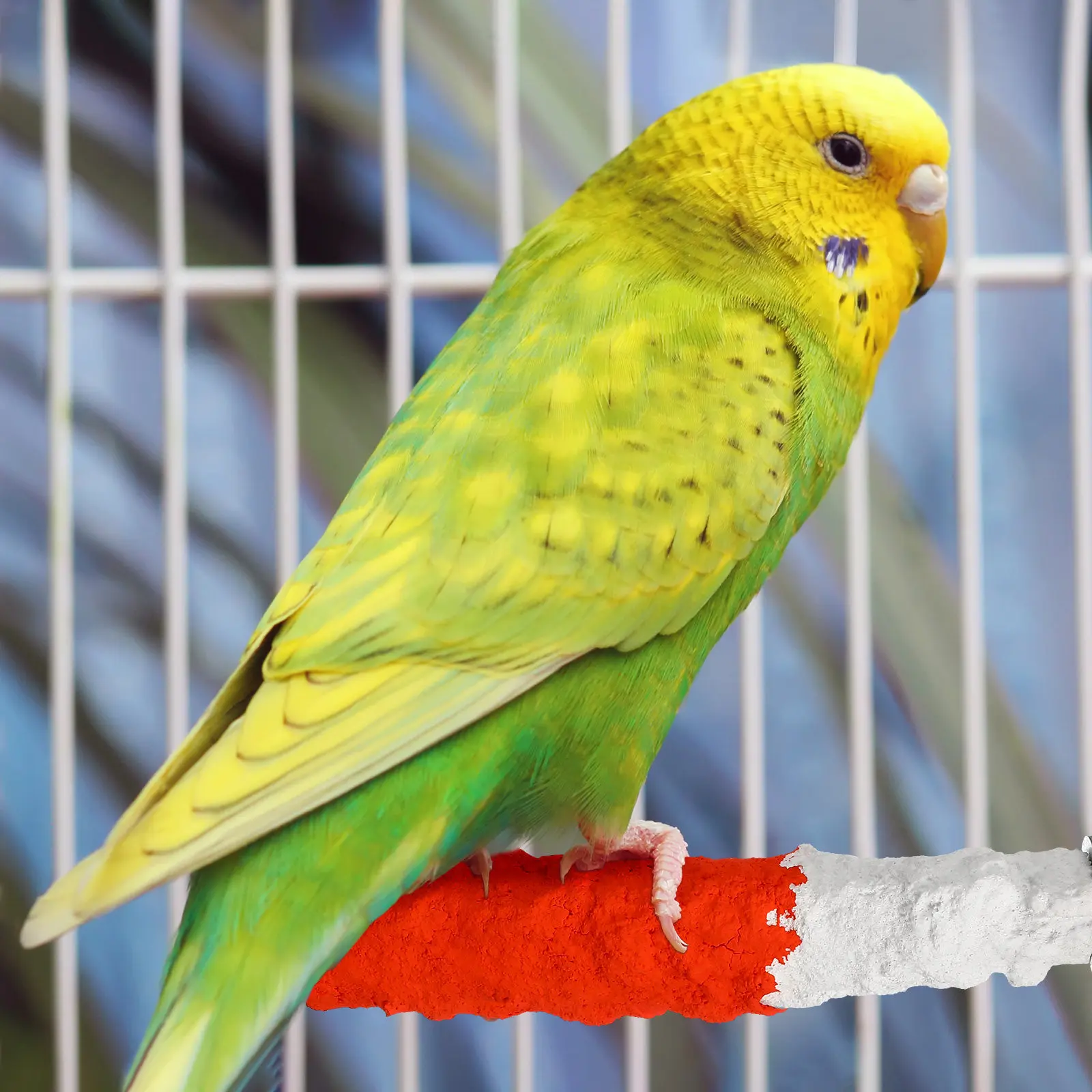 

2 шт. высококальциевые фруктовые жердочки для птиц, подставки для отдыха попугаев, для активности, жевания и заточки когтей, зоотовары, жердочки для попугаев, товары для птиц