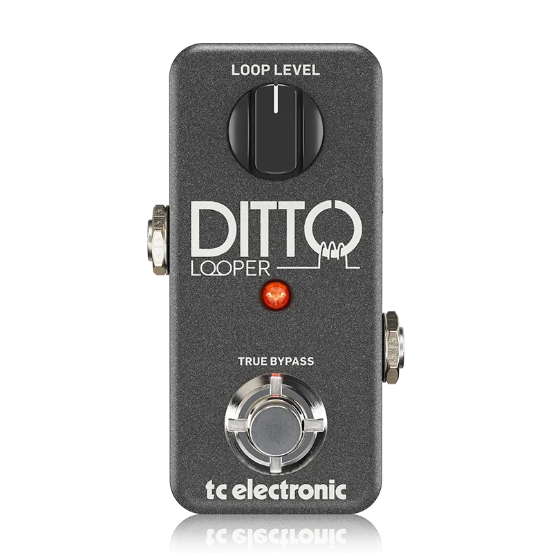 TC ELECTRONICS DITTO LOOPER  Electric Guitar Bass Distortion  Single Block Effect Offers  Guitar Effect