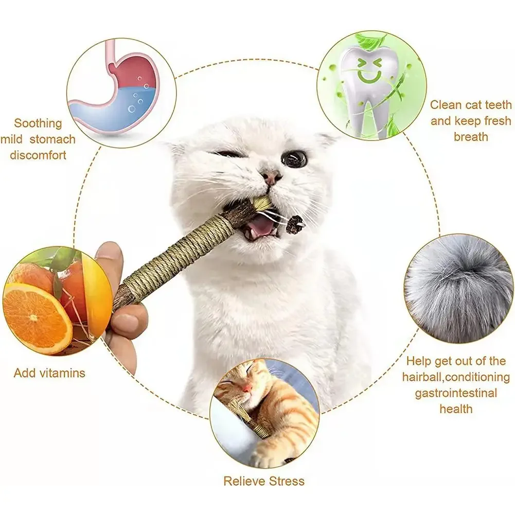 Cat Silver Vine Teeth Grinding Rod Natural Catnip Cat Toy Dental Care Wood Toy For Cat Bite Resistant Tooth Cleaning Supplies - Detail 1