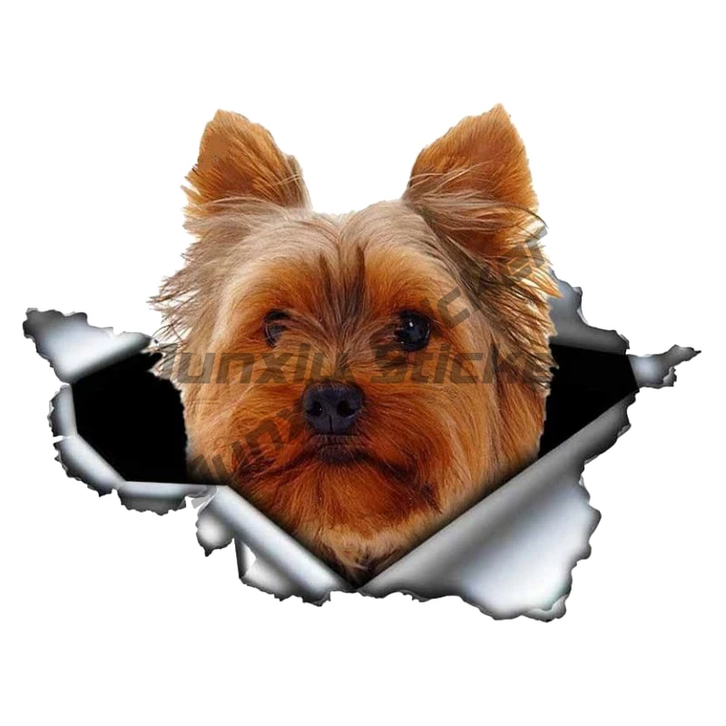 

Self-adhesive Decal Yorkshire Terrier Car Sticker Waterproof Auto Decors on Bumper Rear Window