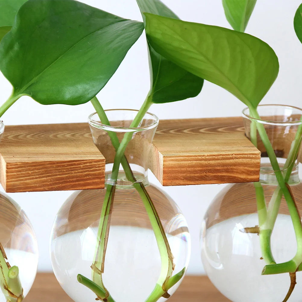 

Flowerpot Hydroponic Container Hydroponics Growing System Wooden Water Frame Decor