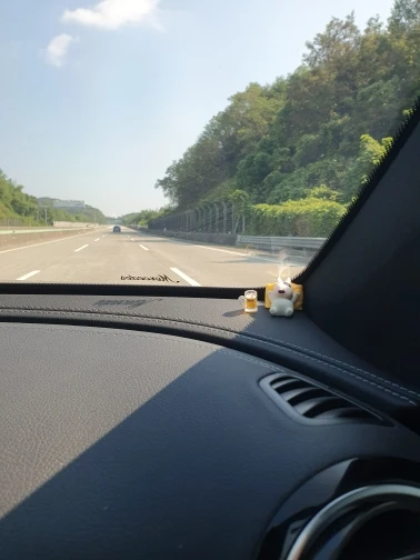 실물 포토 리뷰