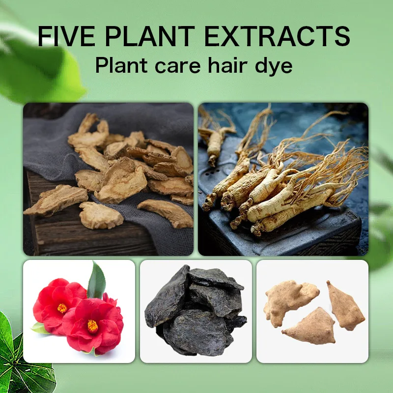 Natural Dye Shampoo For White Hair Blackening Hair Dye Shampoo To Dye Gray Persistent Color Fixation Woman Hair Color Products