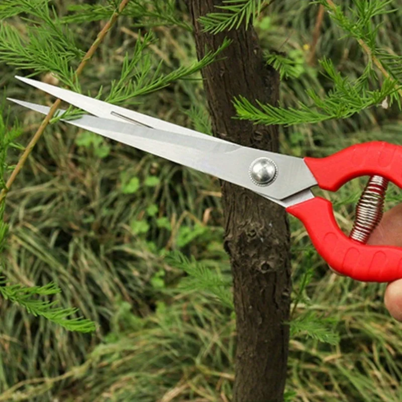 

Профессиональные ножницы для обрезки розы — прочная нержавеющая сталь, простые в использовании, идеально подходят для садовников и цветочных товаров.