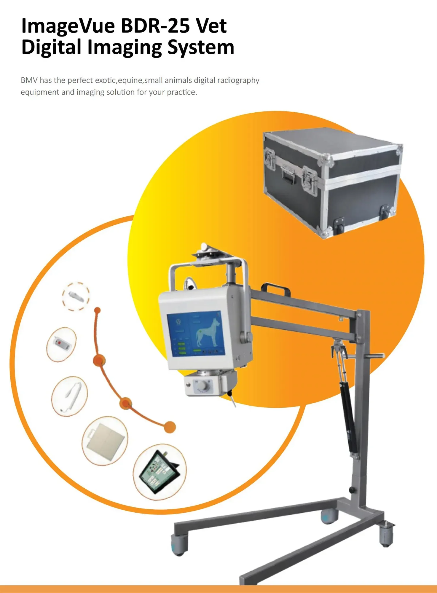 Portable High Frequency Digital Veterinary Xray machine Mobile Radiography Machine Veterinary Xray machine for pet clinic