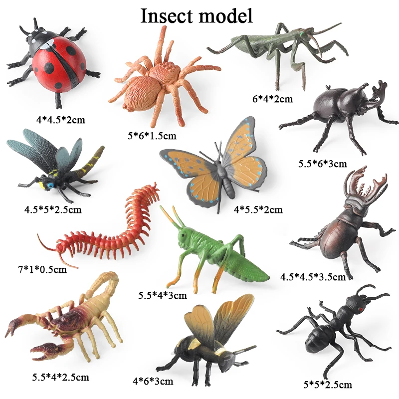 Oenux Insekt Tiere Modell Set Schmetterling Libelle Biene Käfer Spinne Skorpion Mantis Zikade Eidechse Garten Miniatur Kind Spielzeug Geschenk – Detail 5