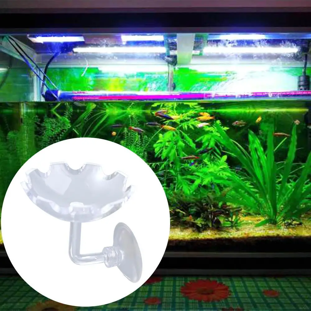 High Quality Durable Shrimp Food Feeding Bowl With Suction Cup Durable Non-Toxic Feeding Tube Aquarium Accessories