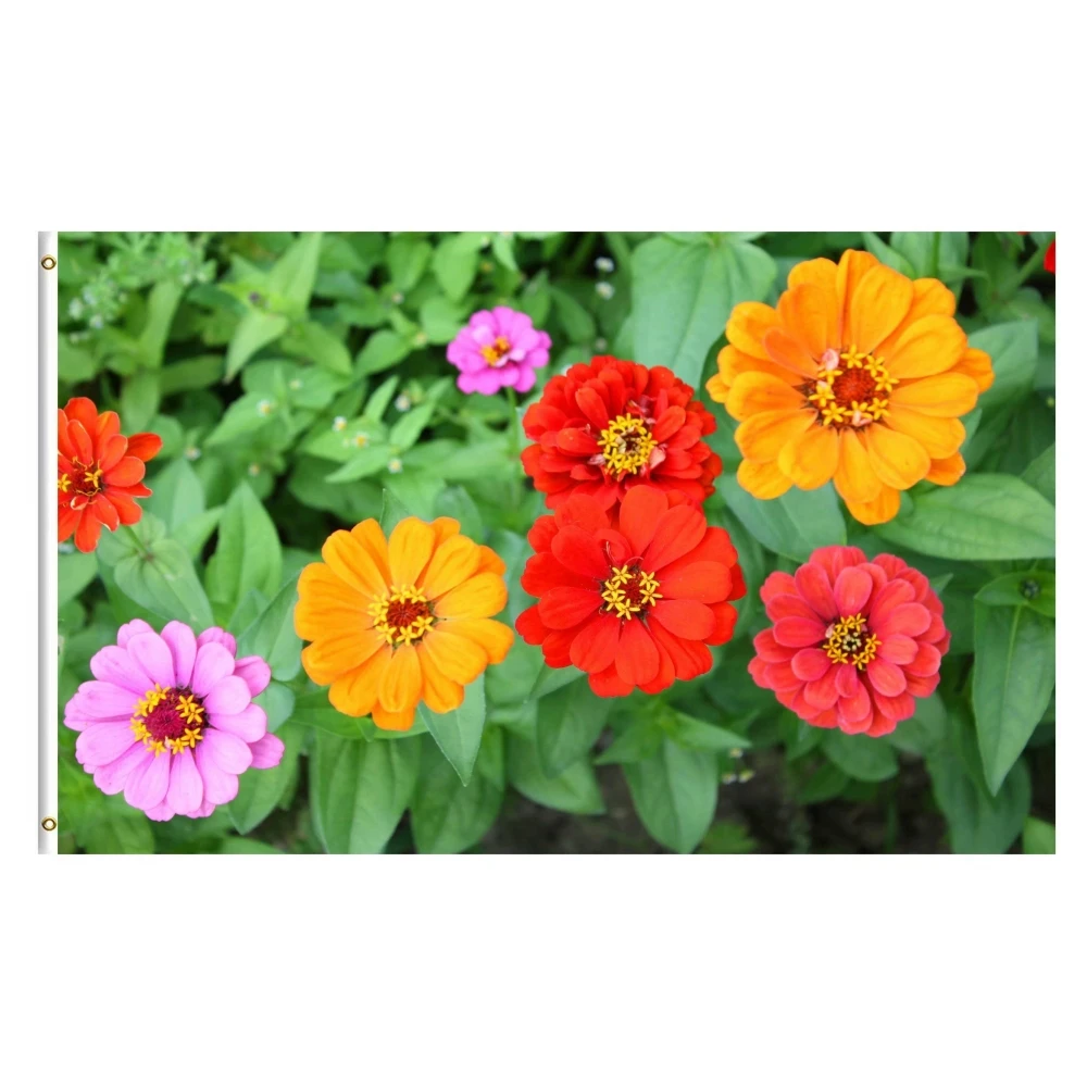 Colorful Floral Flowers Zinnia Flag Spring Summer Nature Seasonal Vivid Color Double Stitched Flags Banners with Brass Grommets