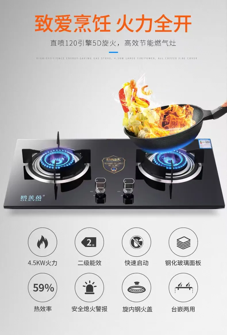 Recruiting Distributors In India Hot Sale Double Burner Gas Portable Cooking Stoves