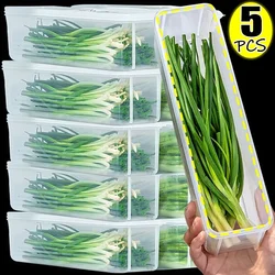 Refrigerator Storage Boxes Fresh Box Scallions Food Container with Lid Cold Crisper Sealed Kitchen Fresh Fruit Fridge Organizer