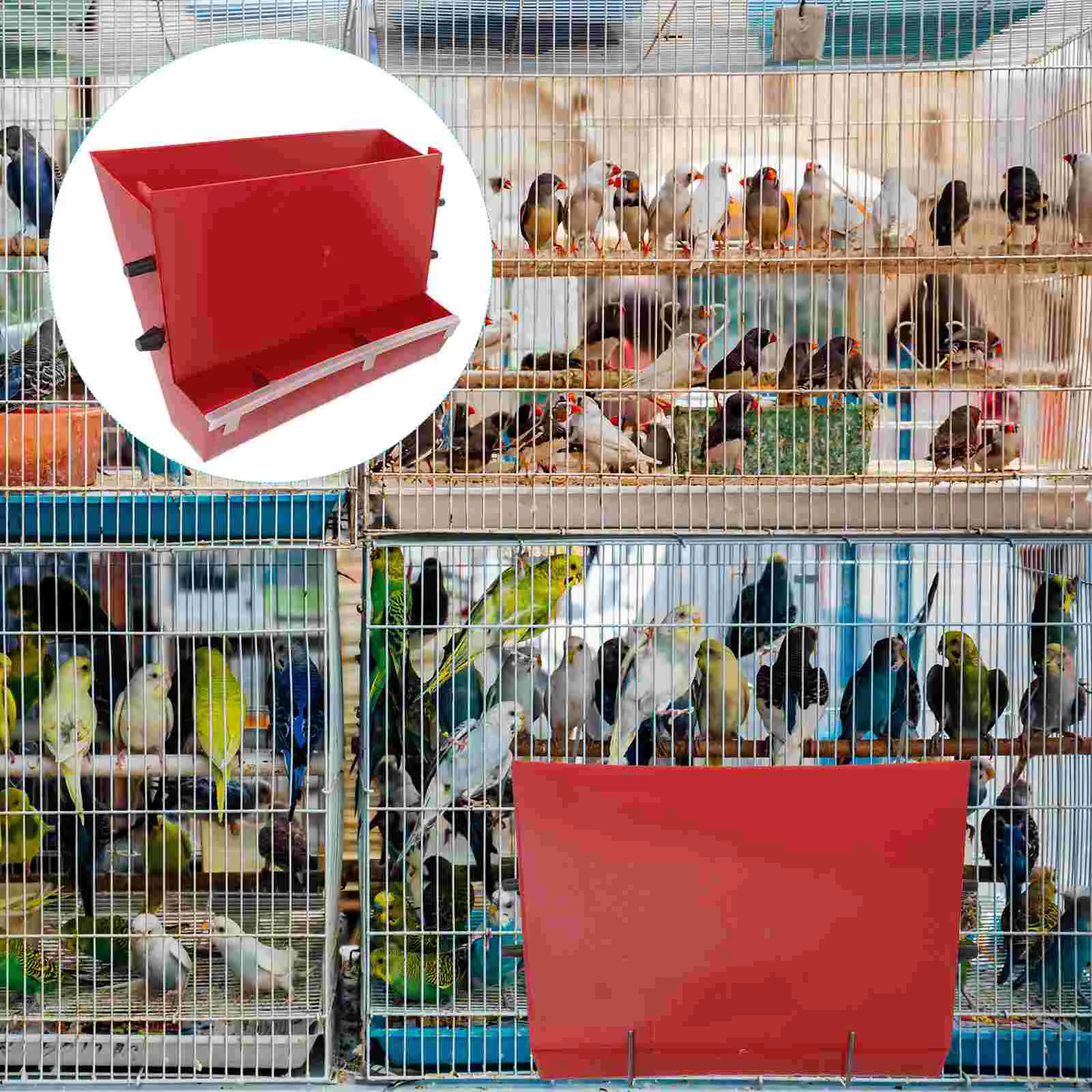 Automatic Feeding Box Ladder Style Feeder Quail Container Poultry Ornament Pigeon Food for Abs Design