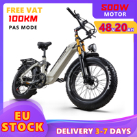 [ Ship Form EU ] CEAYA A20PRO Electric Bike 20\