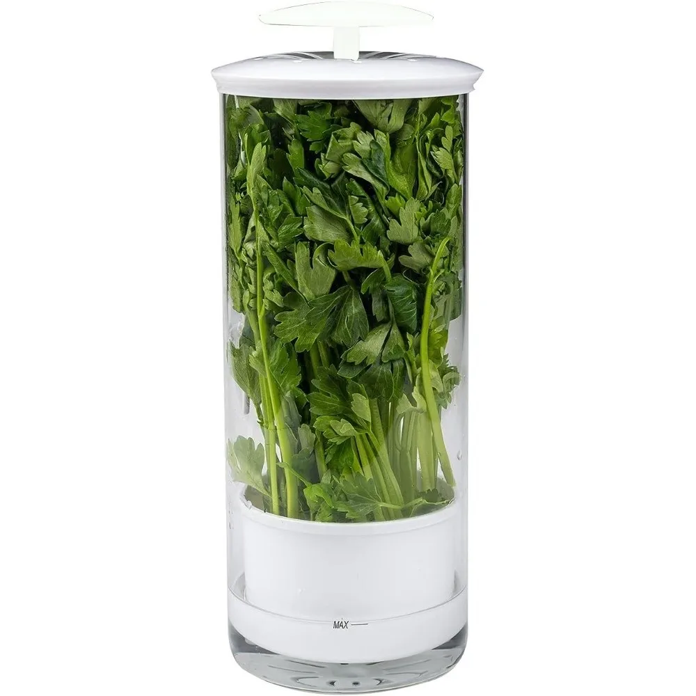 Transparent Longer Fresh Herb Keeper Anti-pressure Water Plantin Herb Saver Environmental Dust-proof