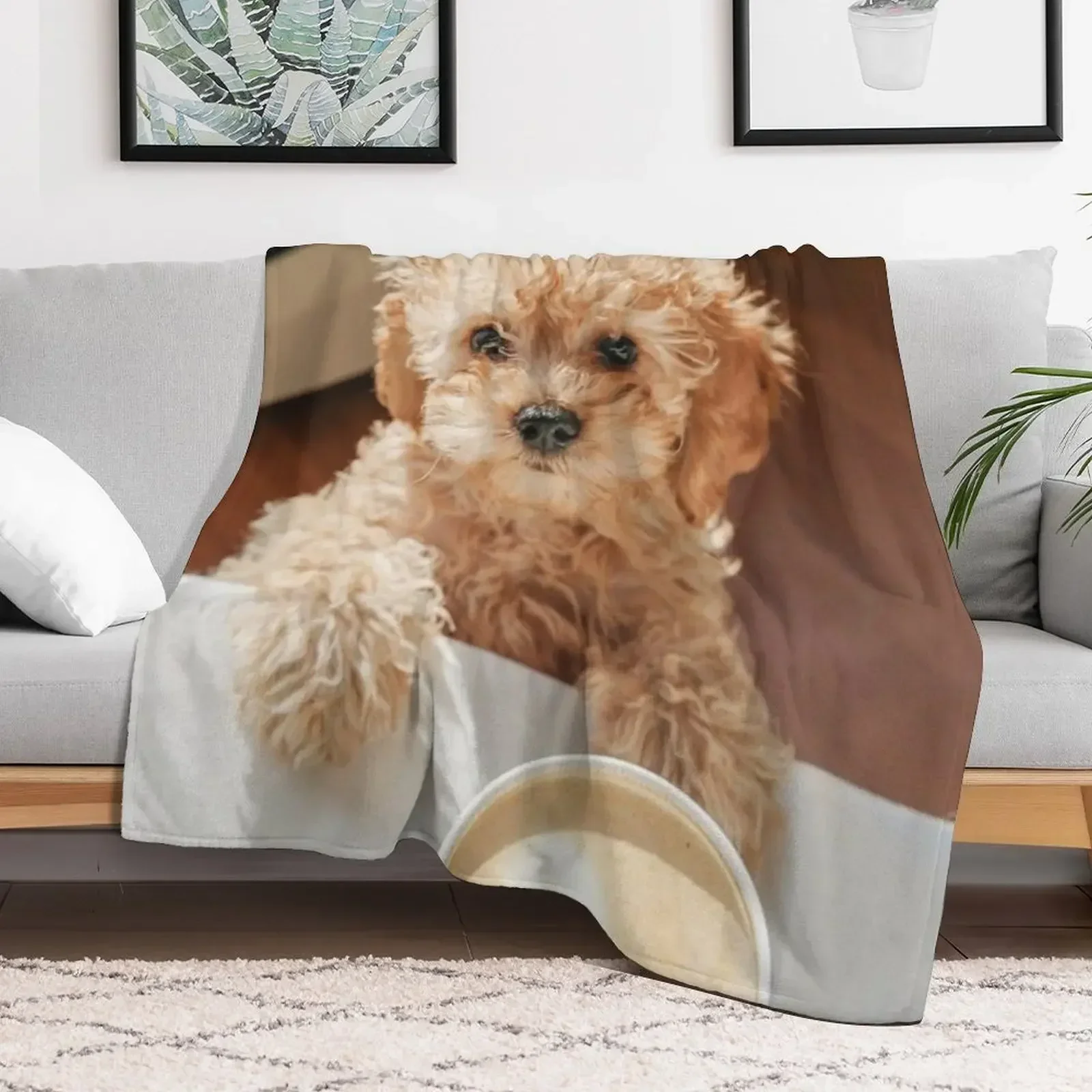 Cute Dog cockapoo Coffee Design Throw Blanket Bed blankets ands Retros Blankets