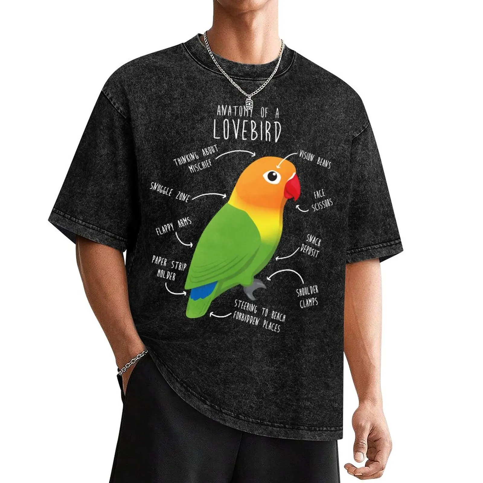 

Fischer's Lovebird Parrot Anatomy T-Shirt man t shirt summer top mens vintage t shirts