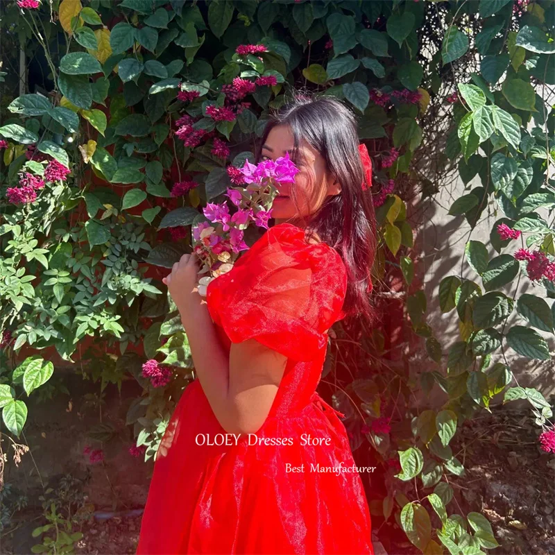 OLOEY Red A Line Silk Organza Evening Dresses Korea Wedding Photoshoot Square Neck Short Sleeves Prom Gowns Party Birthday