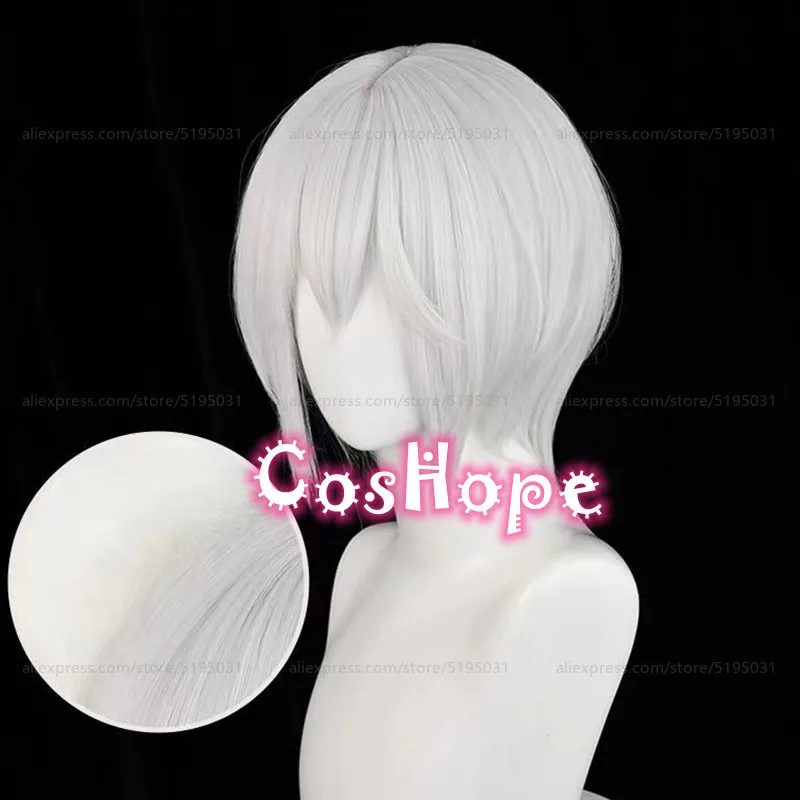 Tomoe Cosplay Wig With Ears 30cm Short Silver White Wig Cosplay Anime Cosplay Wigs Heat Resistant Synthetic Wigs Hair