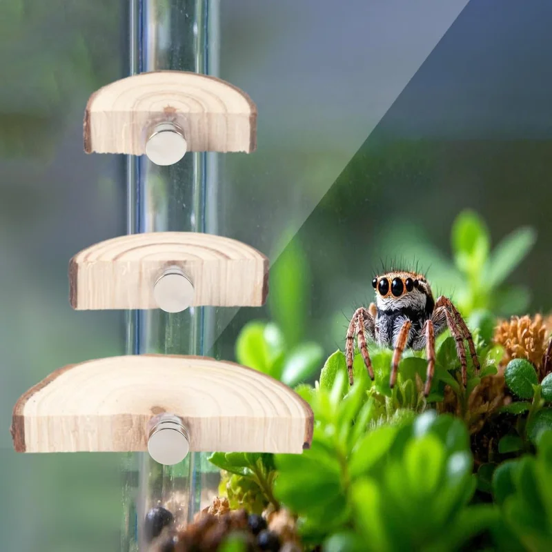 

Подставка для попугая, Тоторо, белка, паук, платформа для прыжков домашних животных, упаковка из 3 предметов, магнитный стиль, среда обитания мелких животных