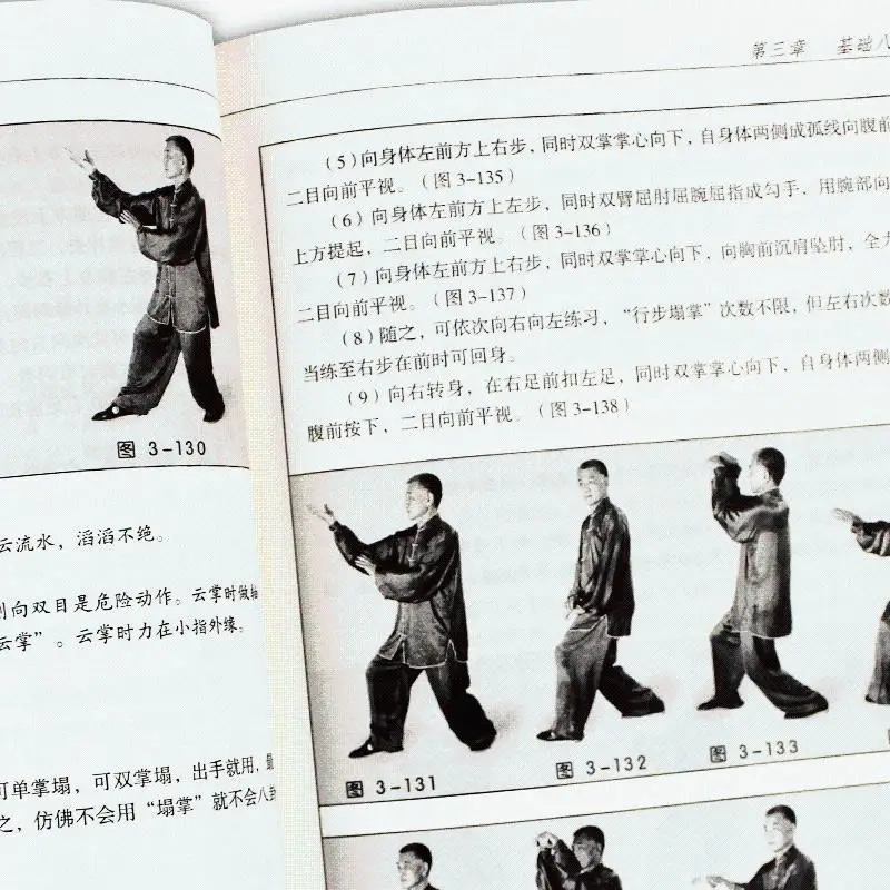 Bagua palm einführung und tatsächlicher kampf liu jingru basic anfänger führer die geheime legende von baguazhang libros livros