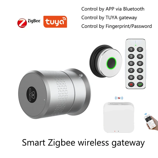 Wehere M530 Smart Door Lock small Motor TUYA Zigbee Smart Lock fingerprint lock Electronic lock Use Original Cylinder