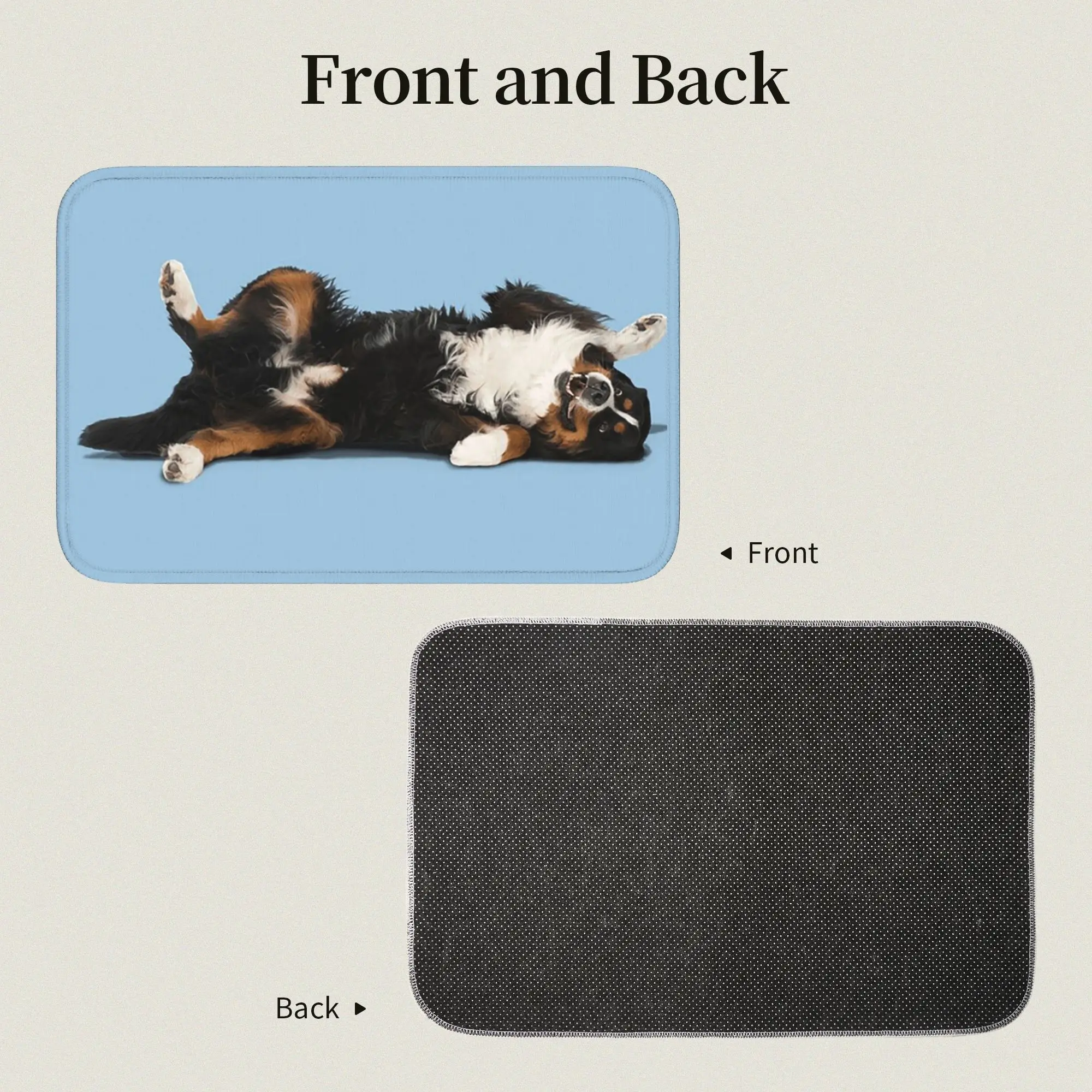 Bernese Mountain Dog Doormat Dust-proo Carpet Rug Kitchen Entrance Home Floor Mat for Bedroom Footpad Mats