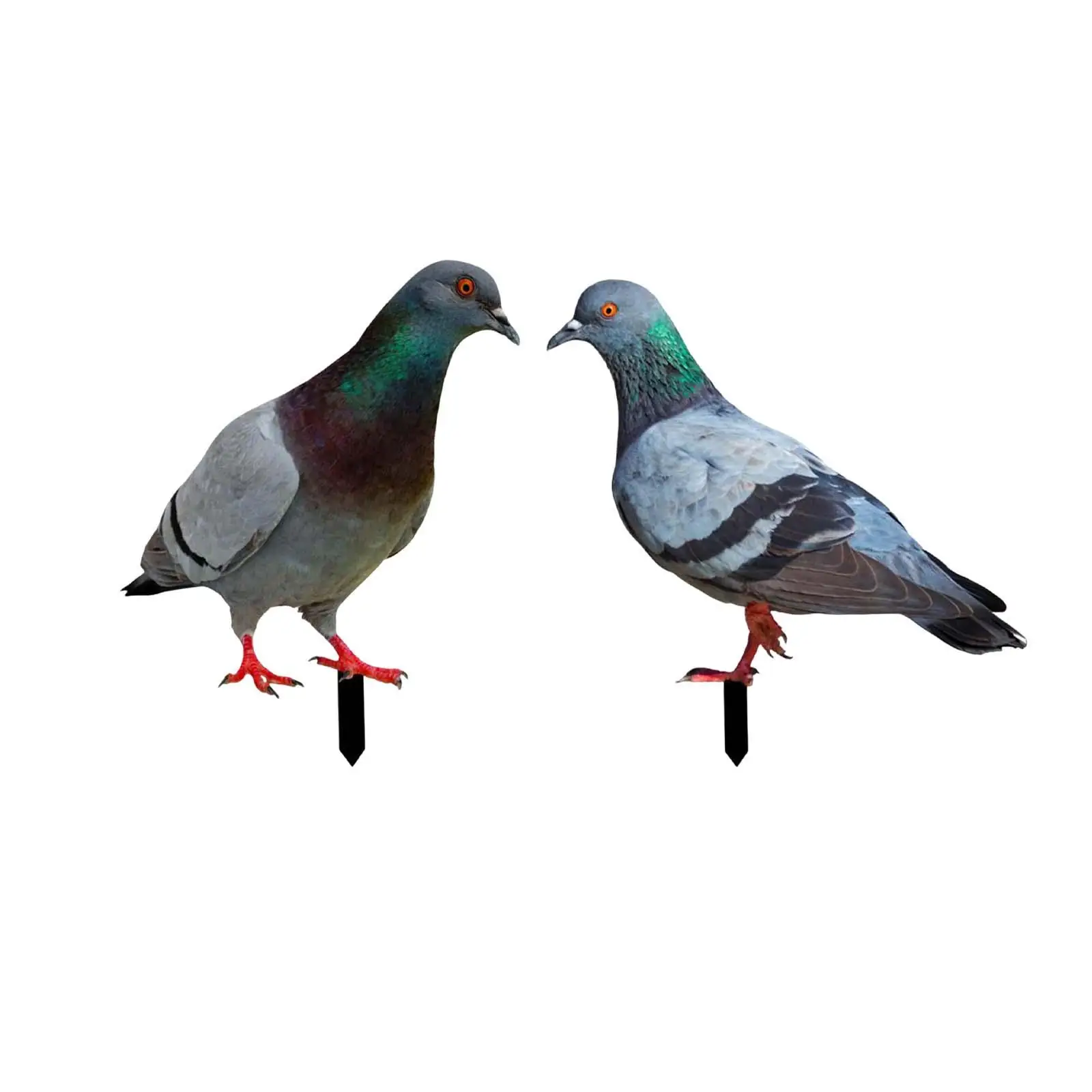 Pigeon Garden Stake Realistic Yard Sign Lifelike Ornament Animal Bird Ground Insert for Courtyard Lawn Patio Pathway Farmhouse