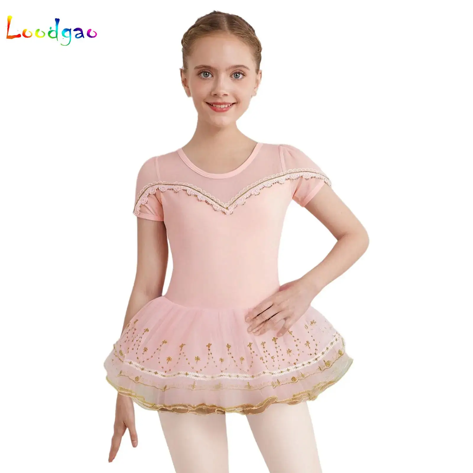

Kids Girls Ballet Dance Tutu Dress Cute Sheer Mesh Lace Trim Embroidery Tutu Elf Costume Halloween Performance Party Dancewear