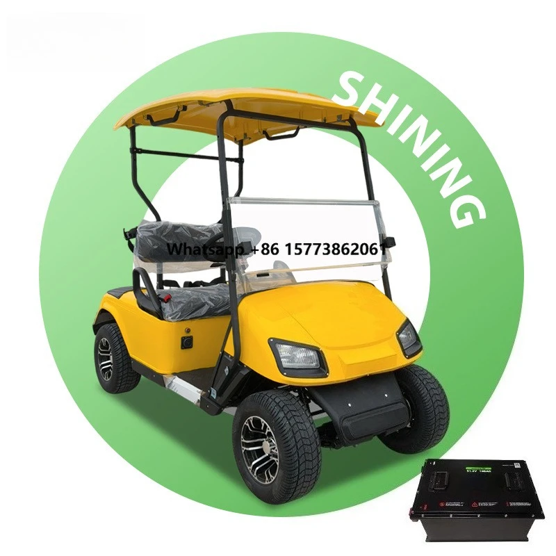 48 Volt Lithium Battery Electric Golf Cart 2 Seats Electronic Brake Street Legal One Year Warranty Custom Colors Metal Material