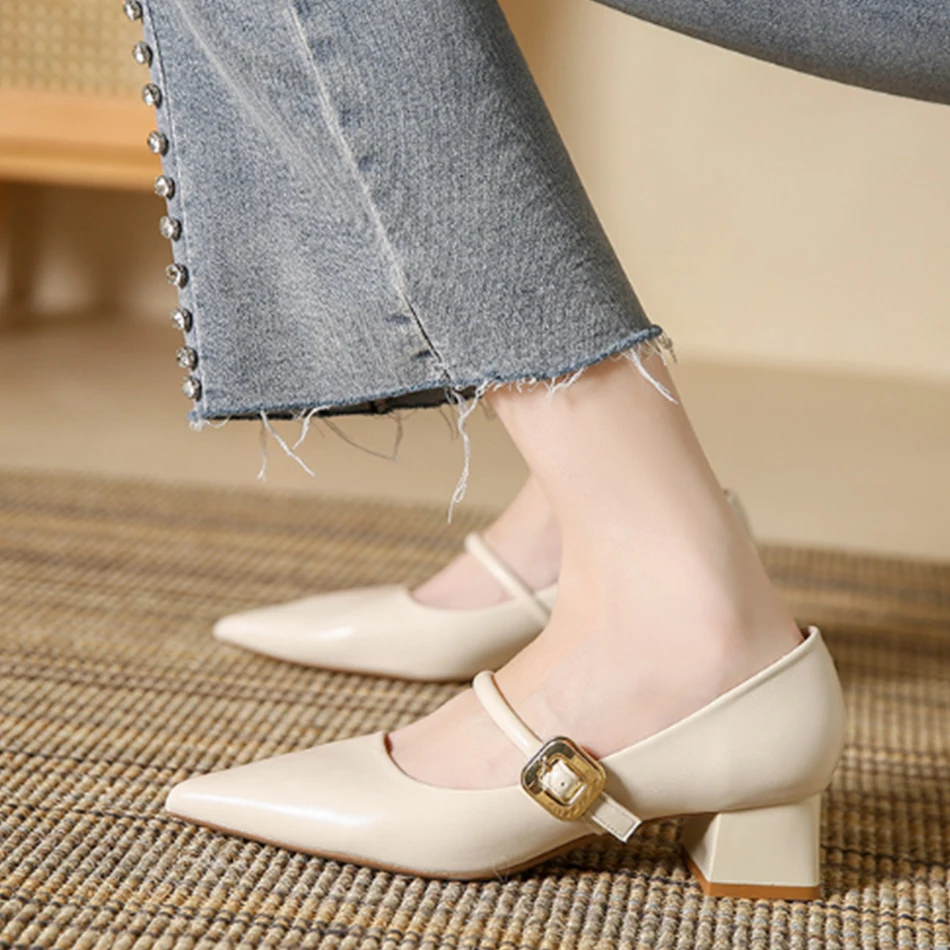 Retro French single shoe - new style, versatile, pointed toe, medium heel Mary Jane women's shoes, thick heel women's shoes