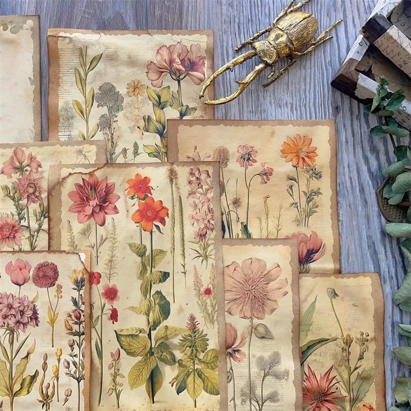 أوراق الصباغة اليدوية غير المرغوب فيها مجلة خمر كتالوج النبات الزخرفية وصمة عار الزهور المواد داخل الصفحة ورق خلفية