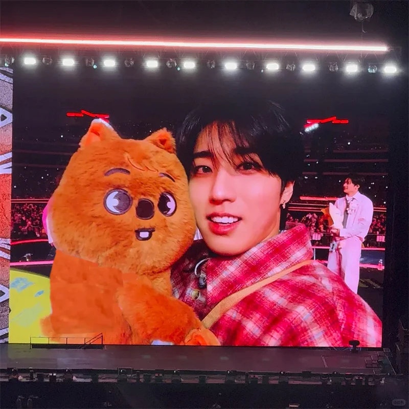 กระเป๋าสะพายข้างตุ๊กตาสัตว์นุ่มนิ่ม SKZOO Stray Kids แบงชาน เฟลิกซ์ วูล์ฟชาน บ๊อบคาริ ของเล่นเด็ก ของขวัญสำหรับแฟนคลับ K-POP ของสะสม SKZ