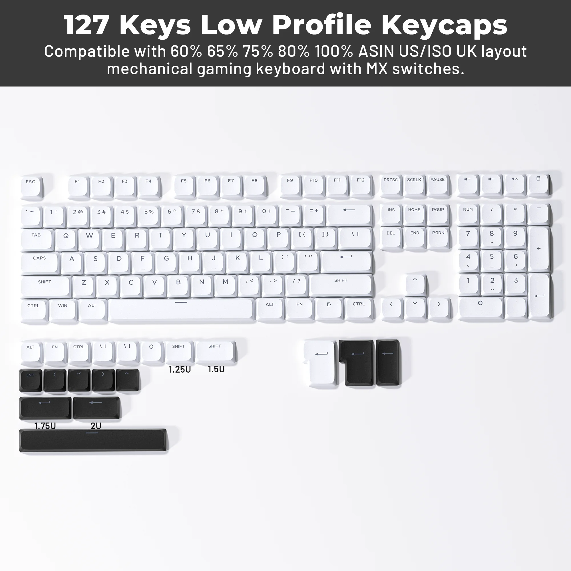 XVX BOW Shine Through Low Profile Keycaps Skyline R2 Double-Shot