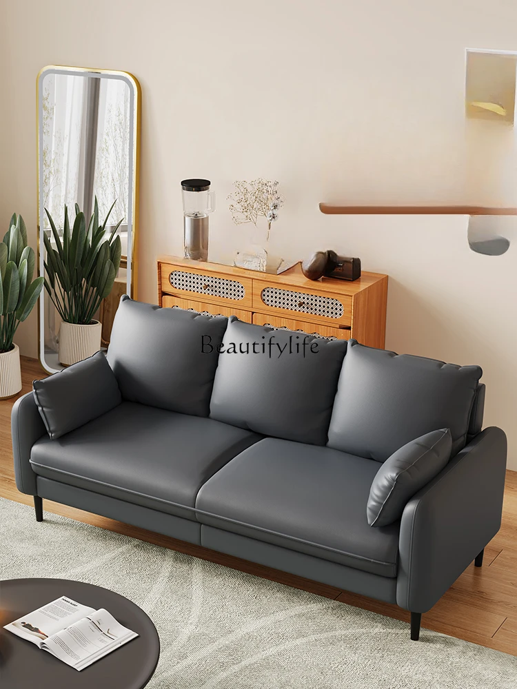 Technology Cloth Sofa Double Living Room Two Or Three-Person Apartment Rental Room