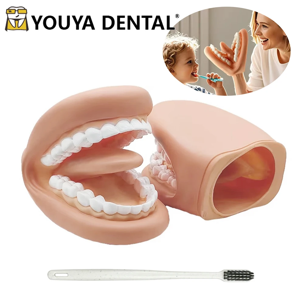 

28 Teeth Dental Mouth Hand Puppet With Tongue Teaching Silicone Model For Speech Therapy Kids Learning Resource For Children