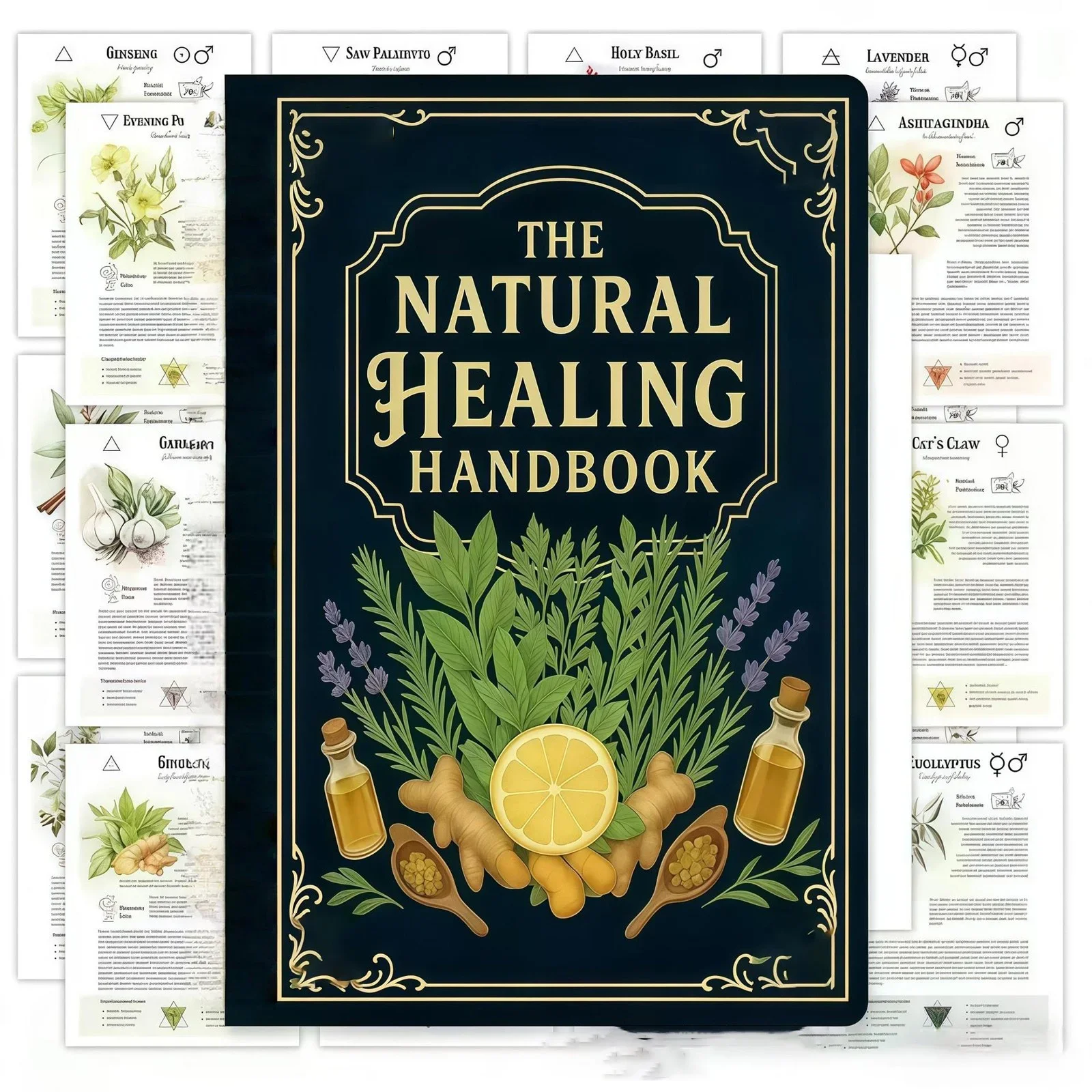 Step-by-Step Herbal Recipe Book for Natural Healing: Heart Health & Focus Guide. Spiral Bound Wellness Book, Healthy Gift