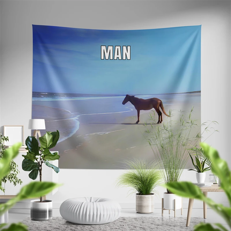 

Aertemisi Man Horse on Beach Meme Гобелен Настенное Искусство для Спальни Гостиной Колледж Общежитие Вечеринка Фон Домашний Декор Комнаты