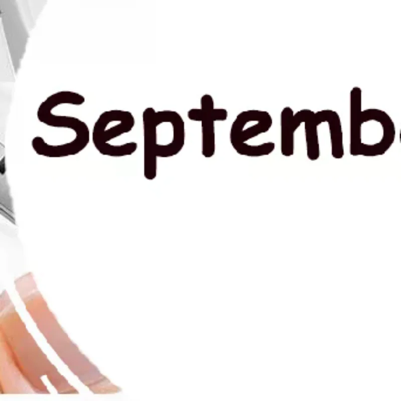 1Pcs Straight Blade…